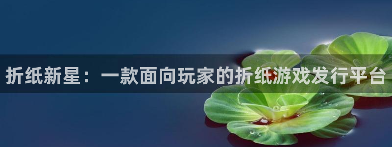 pp电子怪兽：折纸新星：一款面向玩家的折纸游戏发行平台