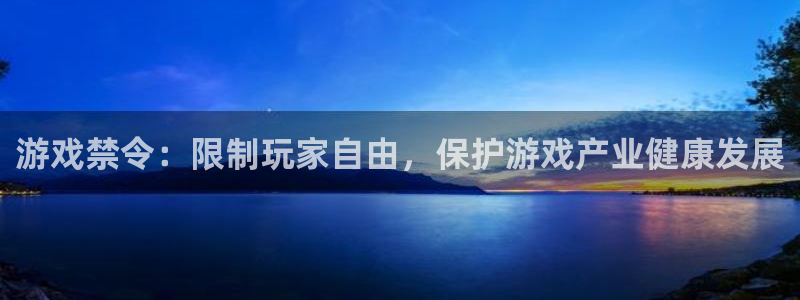 pp电子官网客服服务怎么样：游戏禁令：限制玩家自由，保护游戏产业健康发展