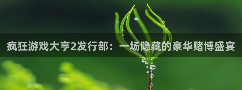 广州pp电子网络科技有限公司怎么样：疯狂游戏大亨2发行部：一场隐藏的豪华赌博盛宴