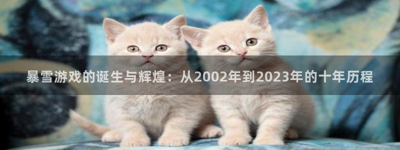 pp电子官网平台怎么样可靠吗：暴雪游戏的诞生与辉煌：从2002年到2023年的十年历程