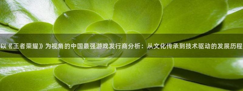 苏州pp电子网络科技有限公司：以《王者荣耀》为视角的中国最强游戏发行商分析：从文化传承到技术驱动的发展历程