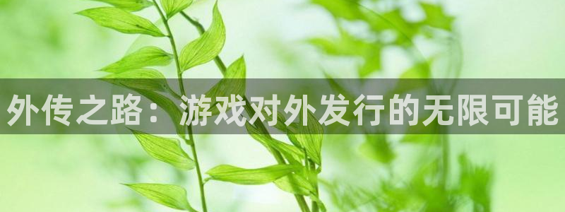 pp电子官网注册平台官网：外传之路：游戏对外发行的无限可能