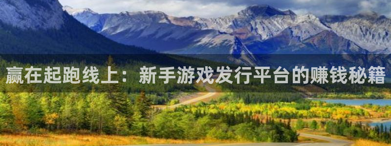 pp电子官网价 5O6917 pp电子：赢在起跑线上：新手游戏发行平台的赚钱秘籍