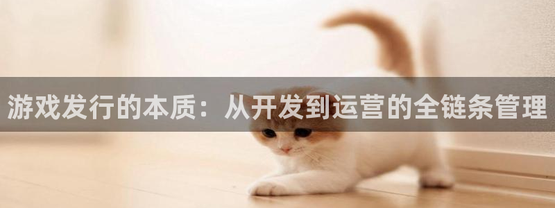 广东pp电子电子科技有限公司：游戏发行的本质：从开发到运营的全链条管理