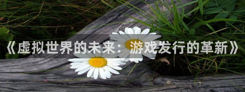 pp电子官网注册地址在哪里查询：《虚拟世界的未来：游戏发行的革新》