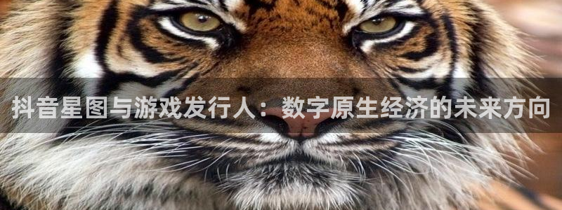 pp电子官网登录注册账号密码：抖音星图与游戏发行人：数字原生经济的未来方向