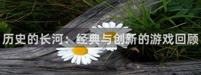 法国pp电子官网：历史的长河：经典与创新的游戏回顾