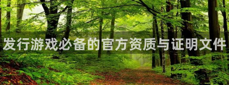 pp电子官网挂机项目怎么样可靠吗：发行游戏必备的官方资质与证明文件