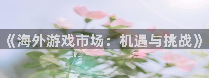 pp电子有什么寓意：《海外游戏市场：机遇与挑战》