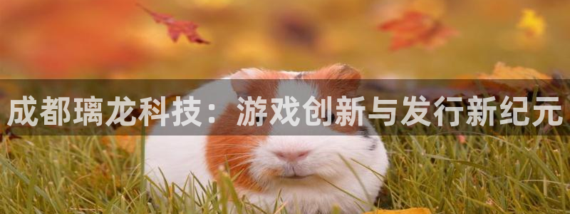 广州pp电子投资管理顾问有限公司：成都璃龙科技：游戏创新与发行新纪元