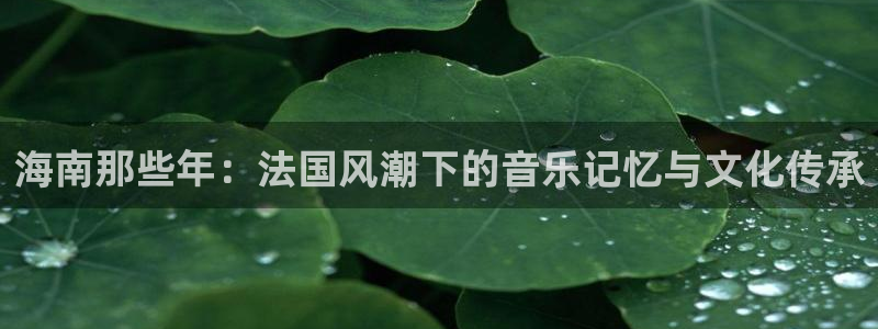 pp电子子公司怎么样知乎：海南那些年：法国风潮下的音乐记忆与文化传承
