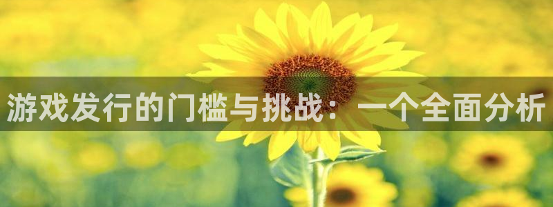 pp电子官网游戏：游戏发行的门槛与挑战：一个全面分析