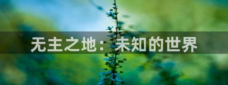 pp电子技术有限公司怎么样：无主之地：未知的世界