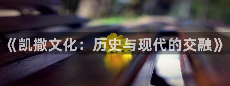 pp电子价格