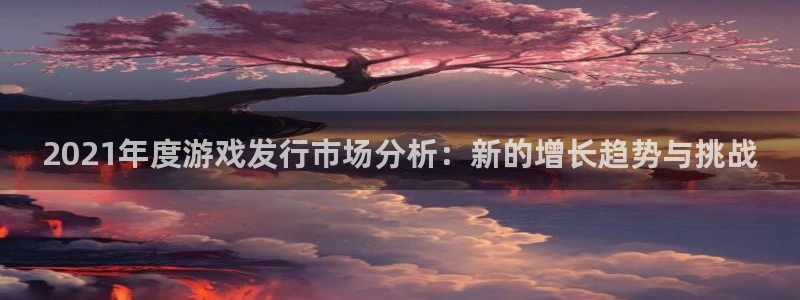 广东pp电子电子商务有限公司：2021年度游戏发行市场分析：新的增长趋势与挑战