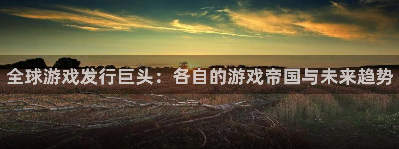 陕西pp电子子文化创意有限公司是做什么的