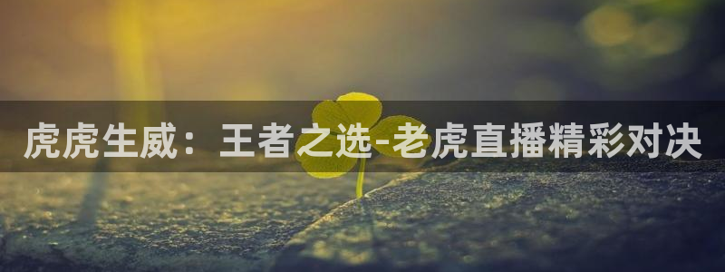 咪咕视频下载免费：虎虎生威：王者之选-老虎直播精彩对决