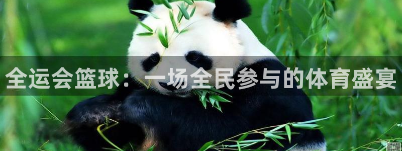 咪咕足球直播免费观看：全运会篮球：一场全民参与的体育盛宴