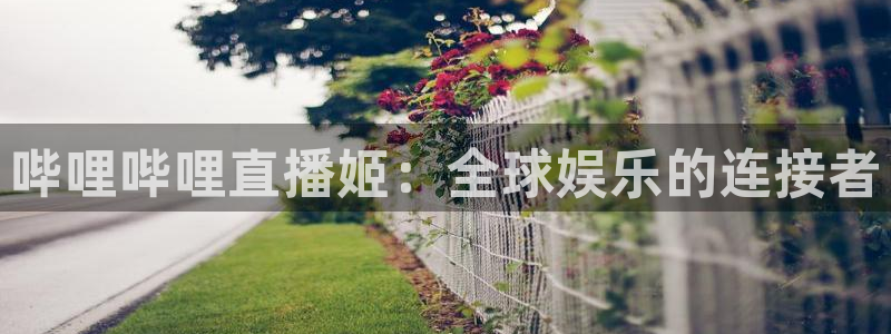 咪咕直播体育在线观看：哔哩哔哩直播姬：全球娱乐的连接者