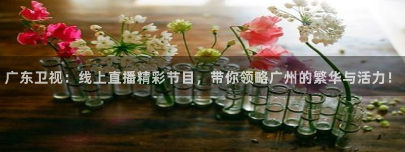 咪咕视频体育直播免费：广东卫视：线上直播精彩节目，带你领略广州的繁华与活力！
